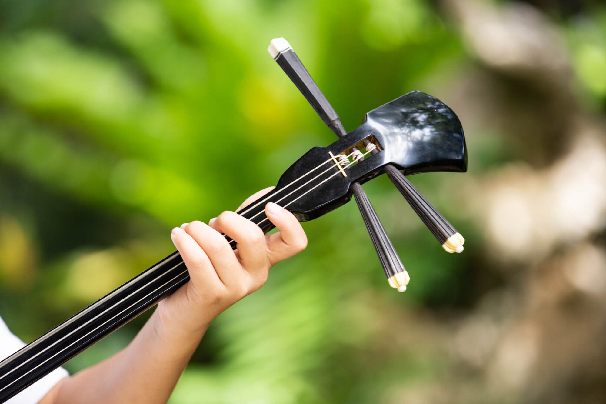 大人の習い事で伝統文化に触れよう